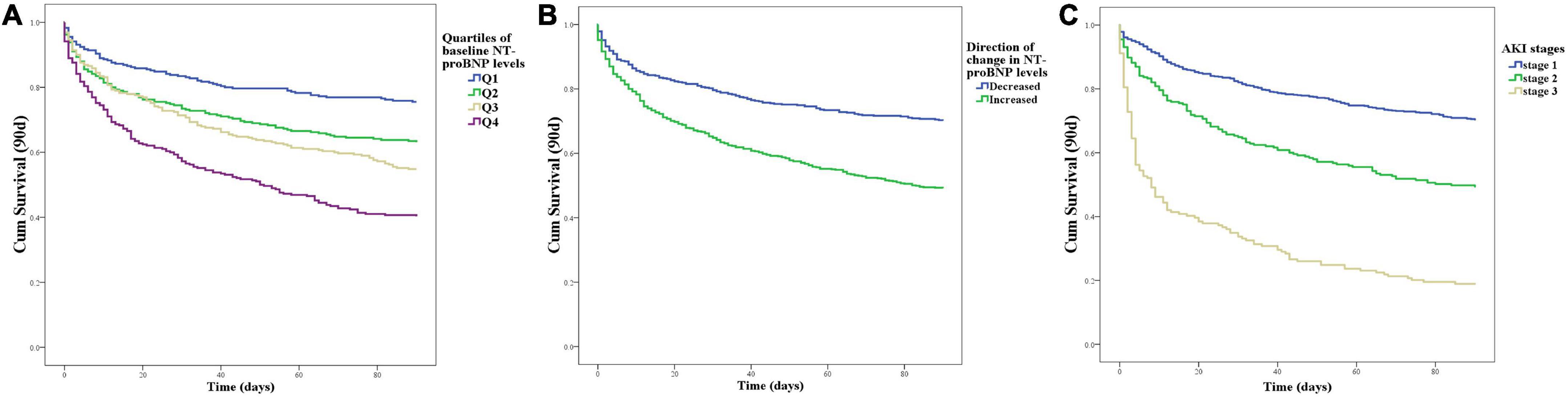 Association of serum N-terminal pro-brain natriuretic peptide levels with survival and renal outcomes among elderly patients with acute kidney injury in chronic heart failure